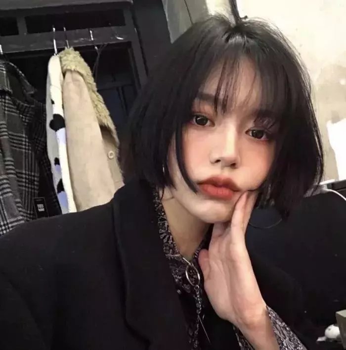 豆家族