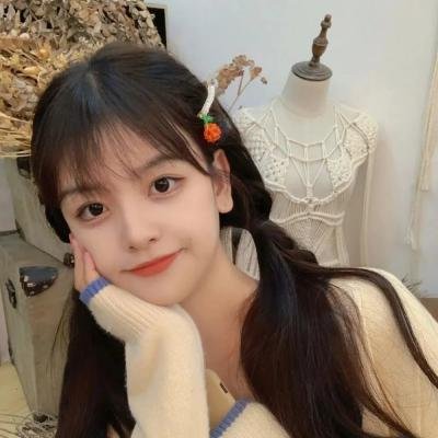 失踪少女名单